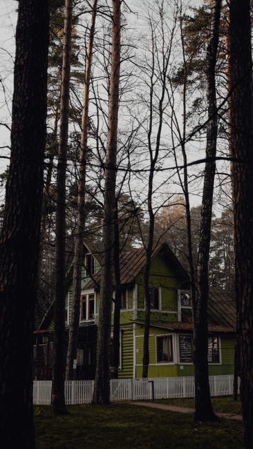A two-storey house painted in light green with white window frames and a brown tiled roof, partially obscured by tall, leafless trees in a wooded area. The house is situated behind a white picket fenc