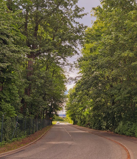 A wide view of a residential street with a large, white, neoclassical-style building featuring columns on the left side, and a domed structure partially visible in the background behind tall, leafless
